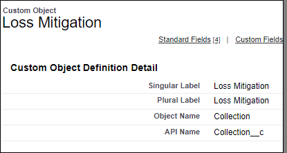 Lightning Custom Object
